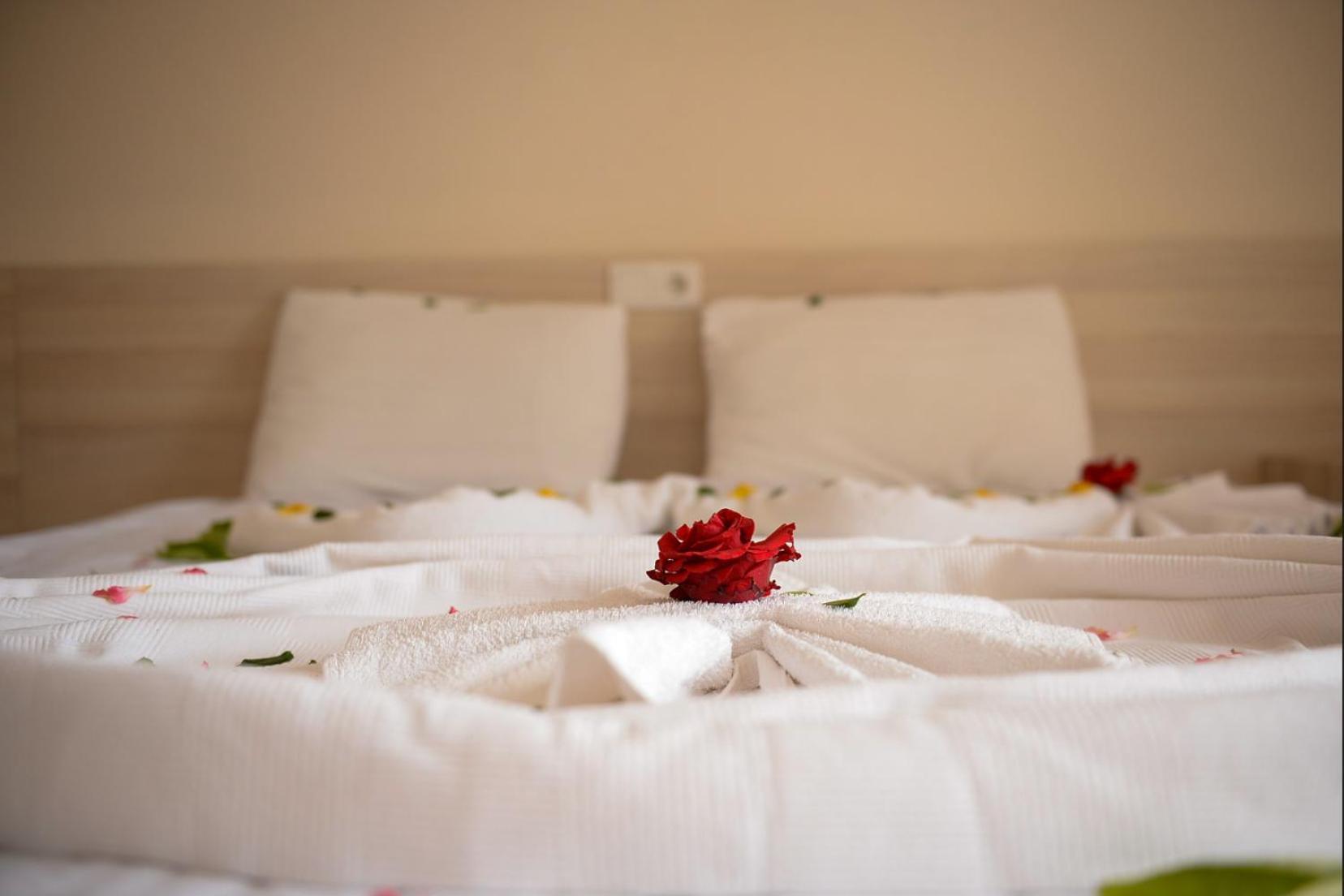 Ant Butik Otel Alanya Dış mekan fotoğraf